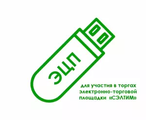 картинка Электронная подпись для участия в торгах электронно-торговой площадки  «СЭЛТИМ» от магазина ККМ.ЦЕНТР