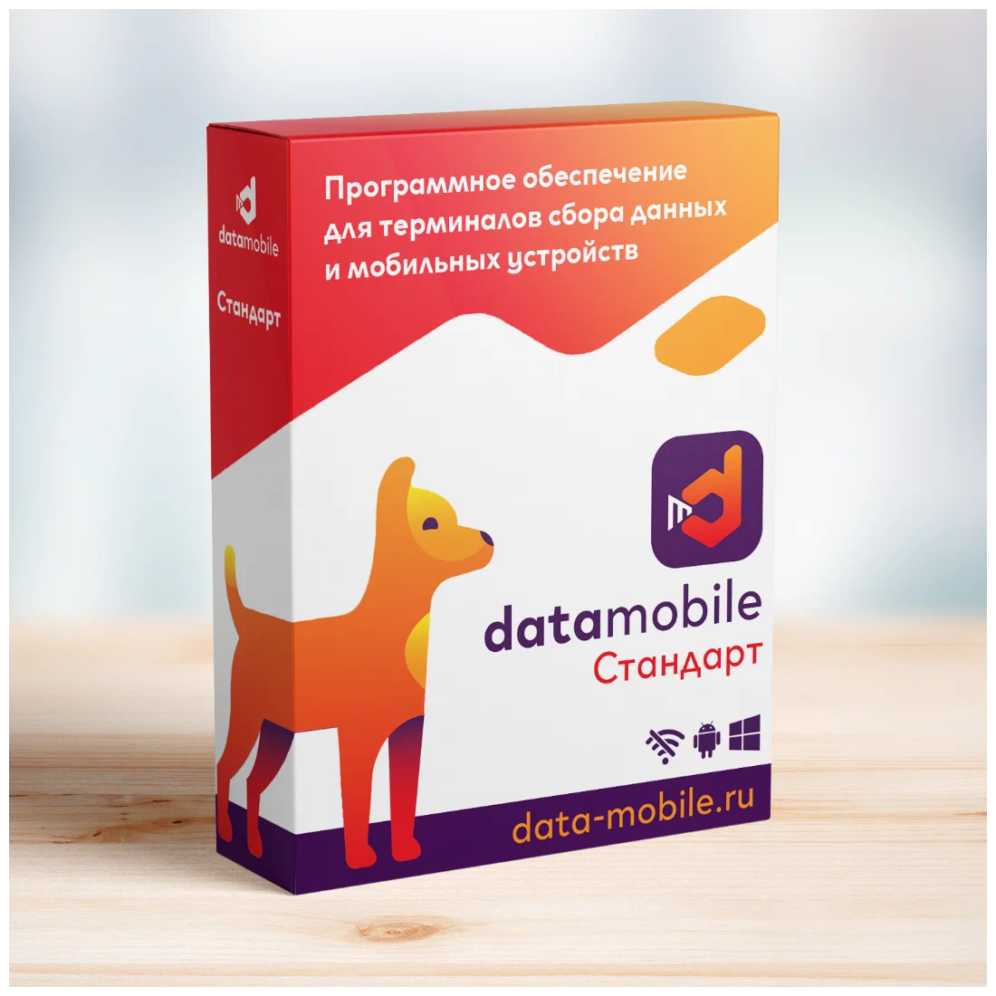 картинка ПО DataMobile, версия Стандарт от магазина ККМ.ЦЕНТР